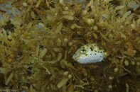BHB-201207147267.jpg