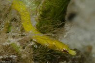 BHB-201207147298.jpg