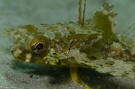 BHB-201207287675.jpg