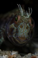 BHB-201207287695.jpg