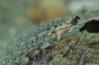 BHB-201207287804.jpg