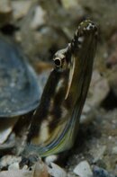 BHB-201207287854.jpg