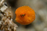 BHB-201207287907.jpg