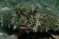 BHB-201207287792.jpg
