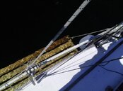 IMGA0012.jpg
