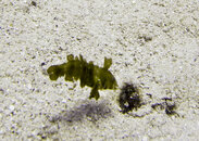 IMG_0082-2.jpg