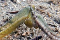 IMG_0688wa3.jpg