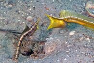 IMG_5103wa.jpg