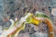 IMG_1848wa1.jpg
