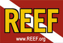 newreeflogo.jpg