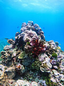 IMG_0393_DxO.jpg