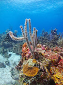 IMG_0469_DxO.jpg