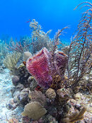 IMG_0506_DxO.jpg