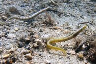 IMG_0697wa.jpg
