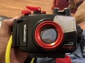 IMG_6456.jpeg