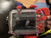 IMG_6457.jpeg