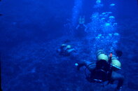 Exploring the reef--Okinawa 1968.jpg