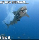 funny-pictures-shark-bluetooth.jpg