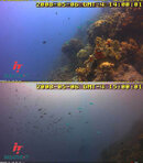 BreatheBonaire.jpg