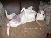 Katie_After_Dive.jpg