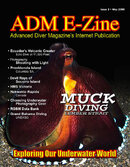 ezineissue3coversma.jpg