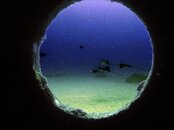 Ray Porthole 02.jpg