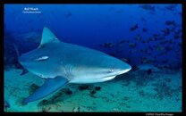 ImageUploadedByTapatalk HD1344173173.157623.jpg
