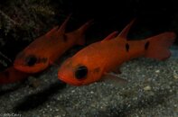BHB-201208058156.jpg