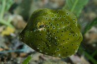 BHB-201207288029.jpg