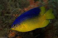 BHB-201208058228.jpg