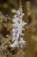 BHB-201208058238.jpg