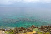DSC_2966.jpg
