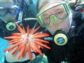 8-7-12 Diving Five Caves & Turtle Piles 028.jpg