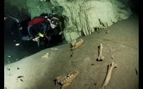 Cenotes-83.jpg
