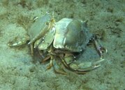 IMG_1975.jpg