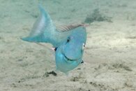 IMG_8715wa.jpg