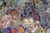 IMG_9199wa.jpg