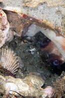 IMG_9224wa.jpg