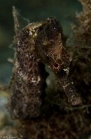BHB-201208118334.jpg
