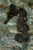 BHB-201208118344.jpg