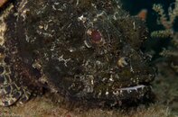 BHB-201208118353.jpg