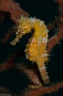 BHB-201208118369.jpg