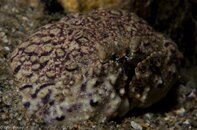 BHB-201208118382.jpg