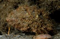 BHB-201208118392.jpg