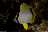 BHB-201208118407.jpg