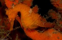 BHB-201208118445.jpg