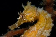BHB-201208118453.jpg