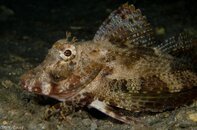 BHB-201208118469.jpg