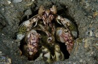 BHB-201208118481.jpg