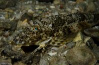 BHB-201208118483.jpg